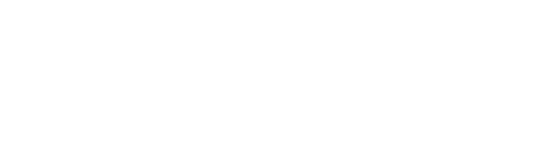 logo light